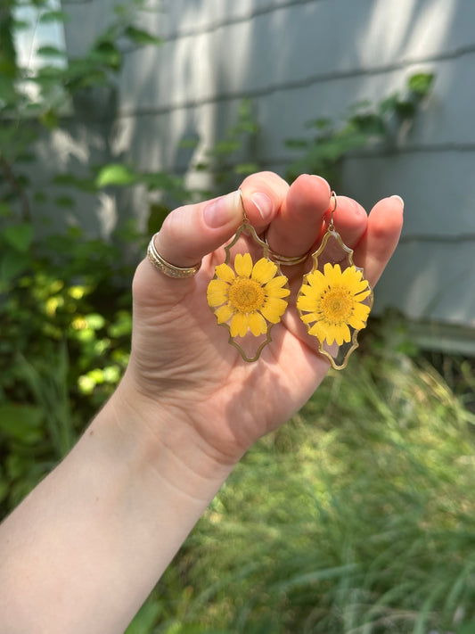 Framed Yellow Daisies