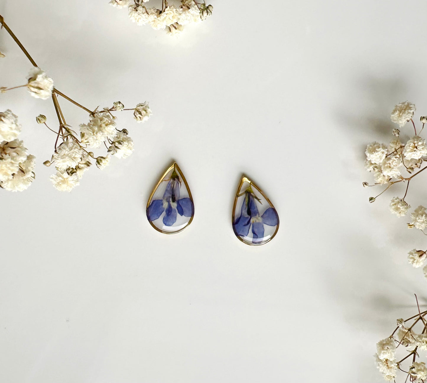Lobelia Studs
