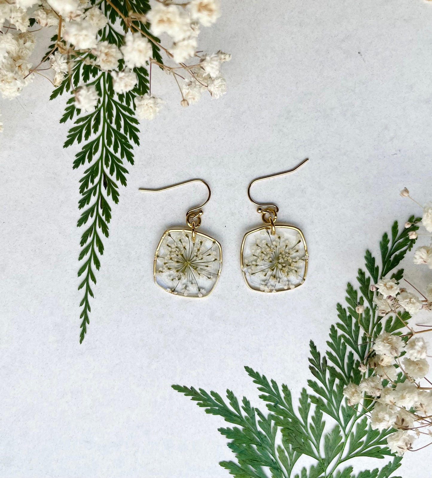 Daily Queen Anne's Lace