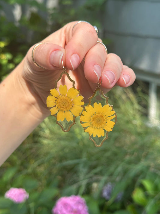 Framed Yellow Daisies