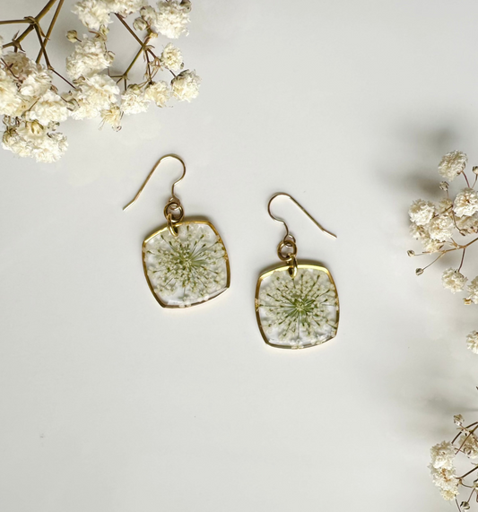 Daily Queen Anne's Lace