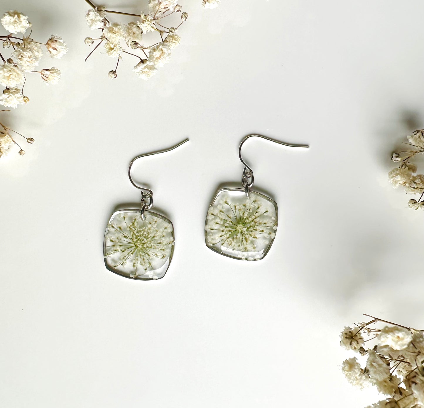 Daily Queen Anne's Lace
