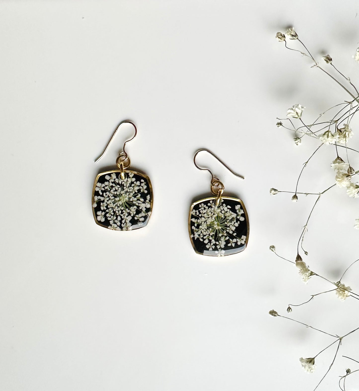 Black and White Queen Anne's Lace