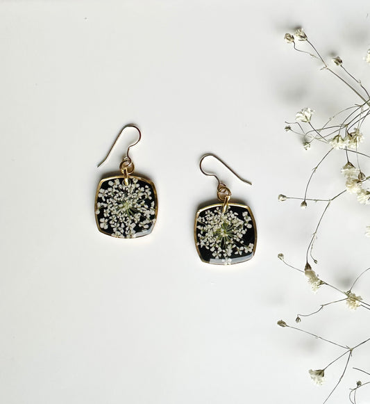 Black and White Queen Anne's Lace